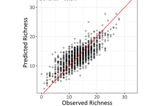 Graph showing predicted and observed species richness