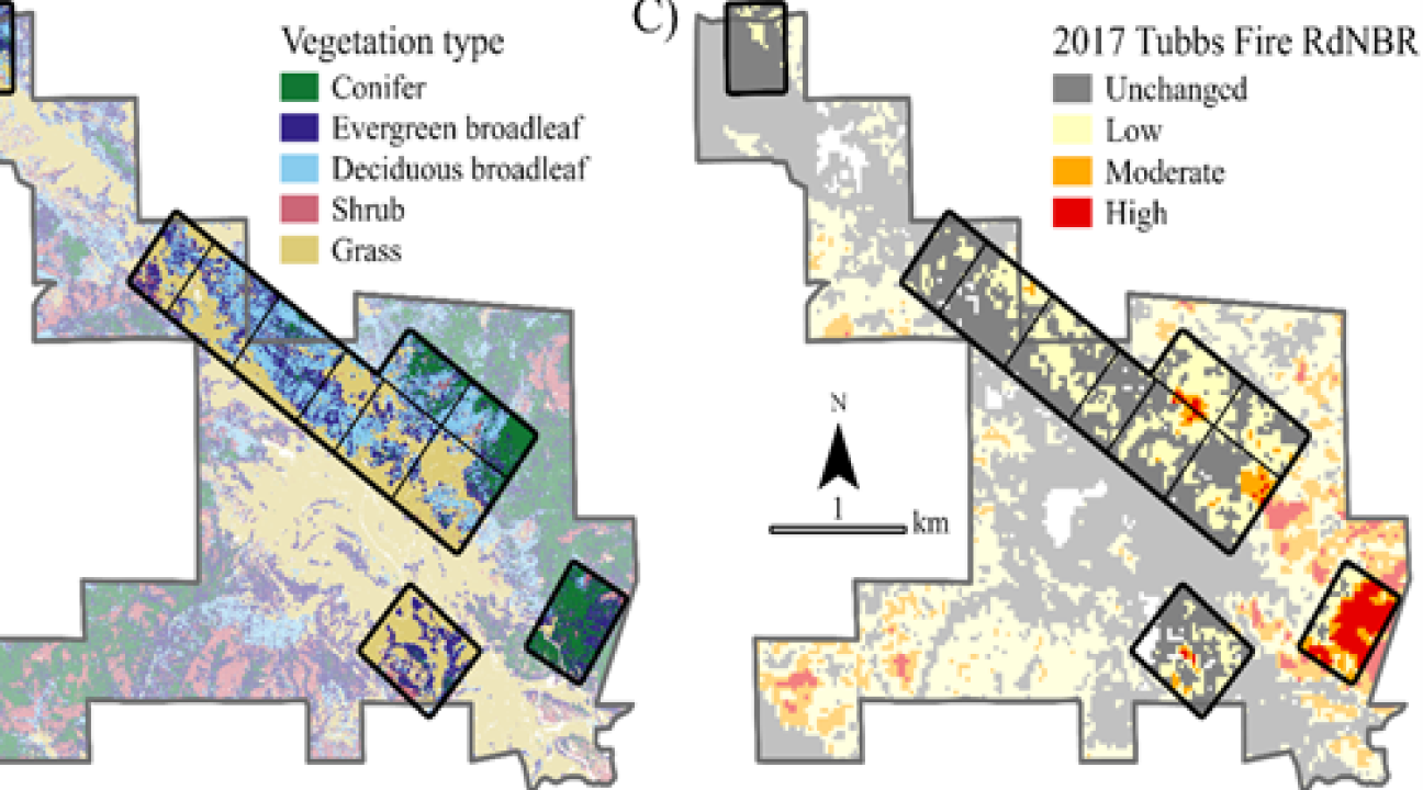 Maps of Vegetation and Fire Scars
