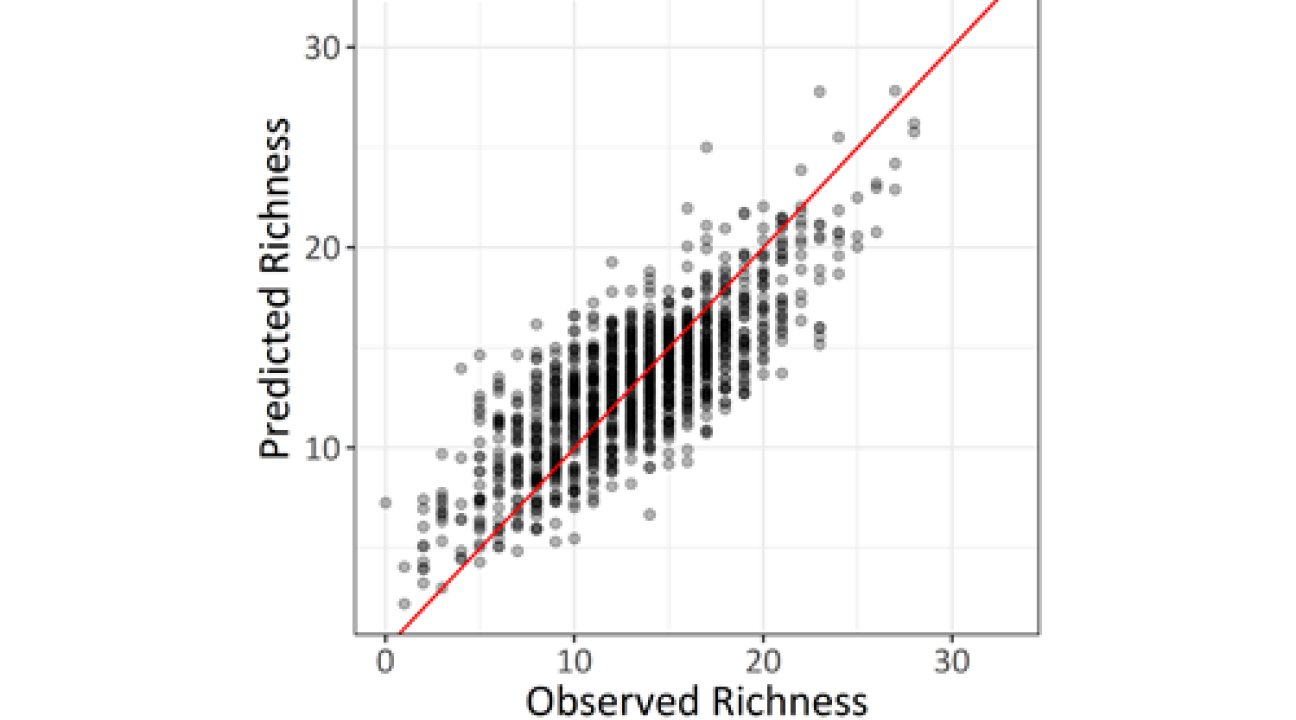 Graph showing predicted and observed species richness