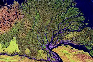 Satellite Image of Lena River Delta