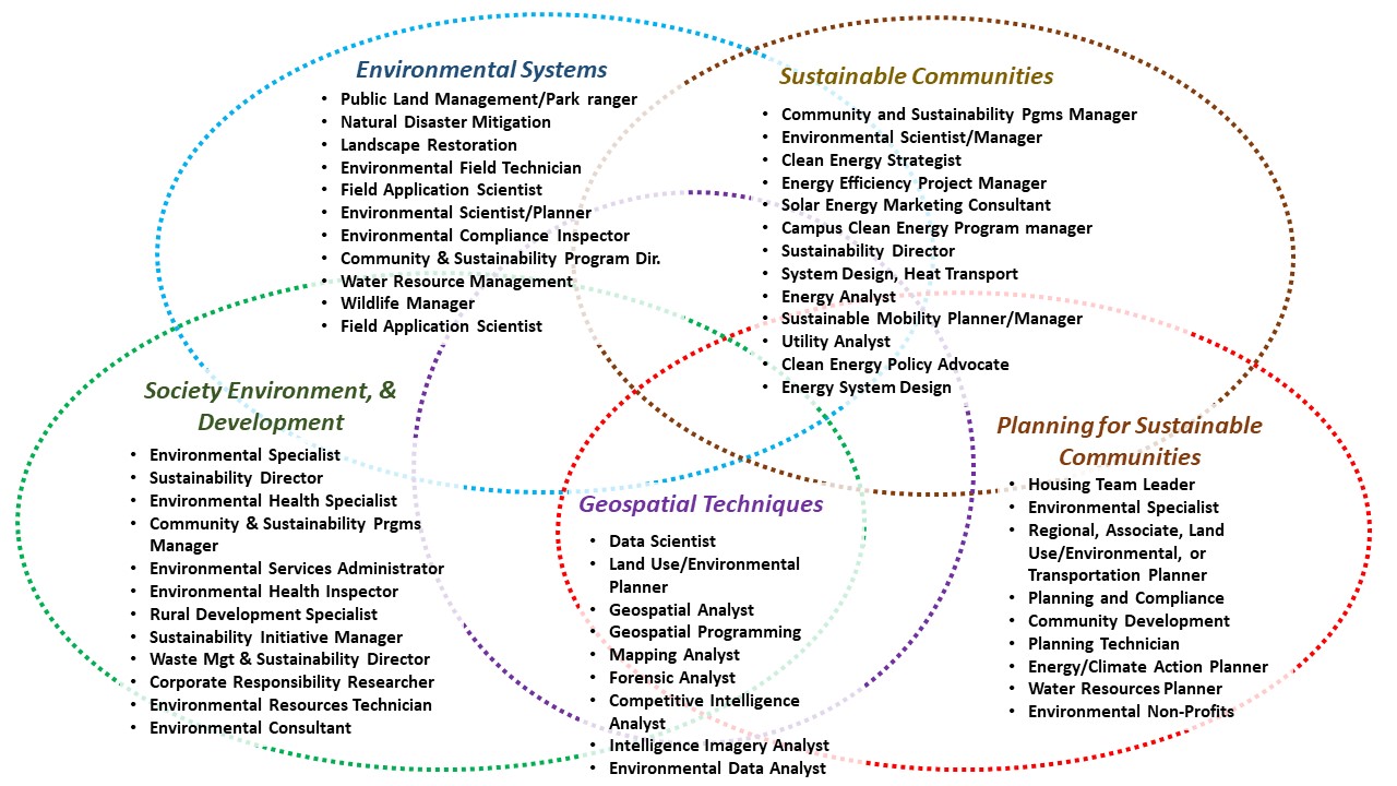 career diagram