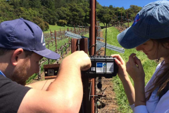 Citizen Scientists taking measurements