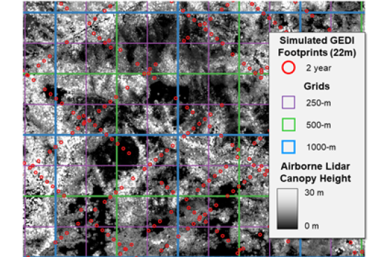 Lidar image showing canopy height
