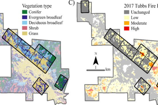 Maps of Vegetation and Fire Scars