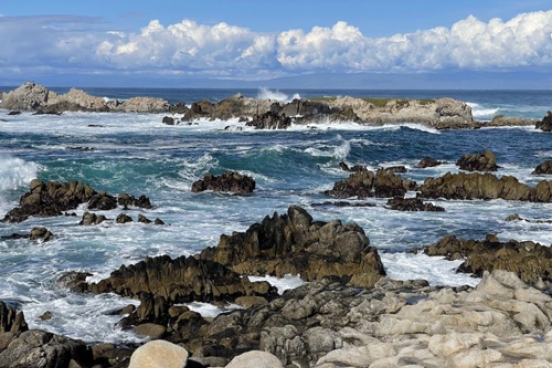 Asilomar Beach