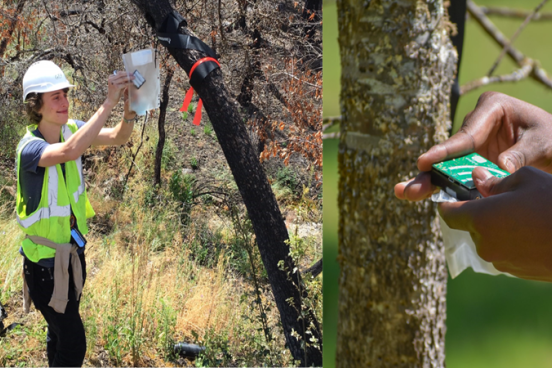 Student evaluating data in the field