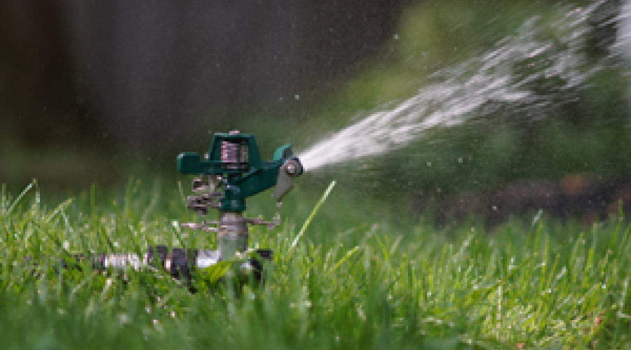 Water sprinkler