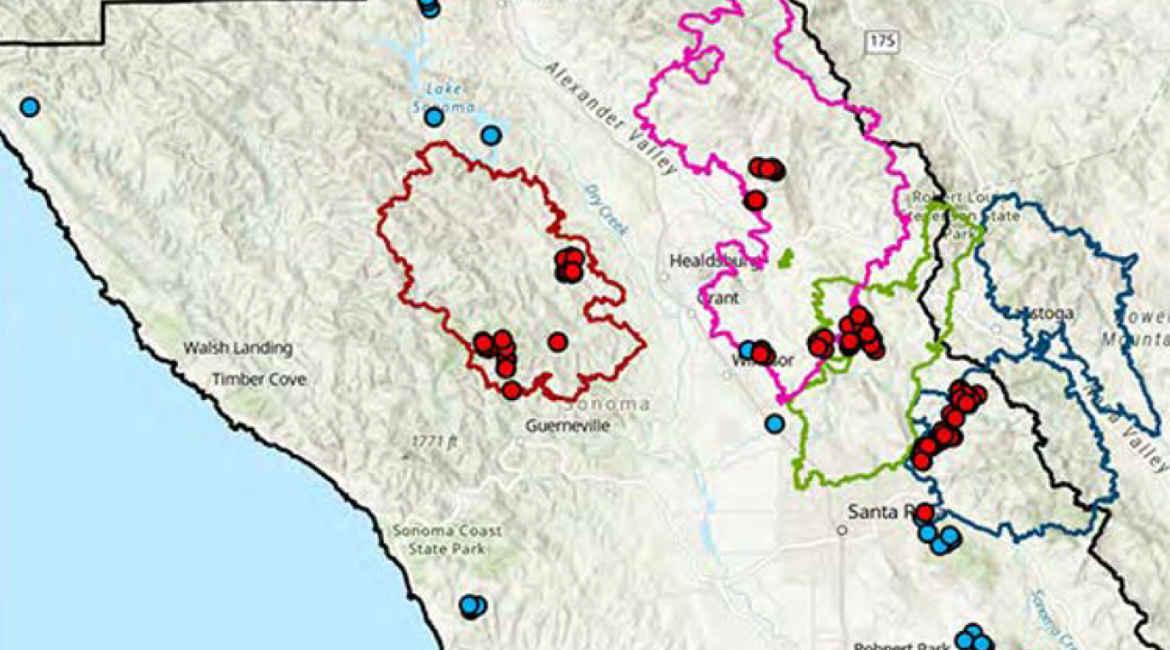 Map of studied burn areas