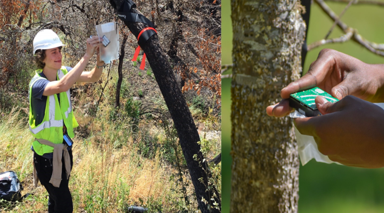 Student evaluating data in the field
