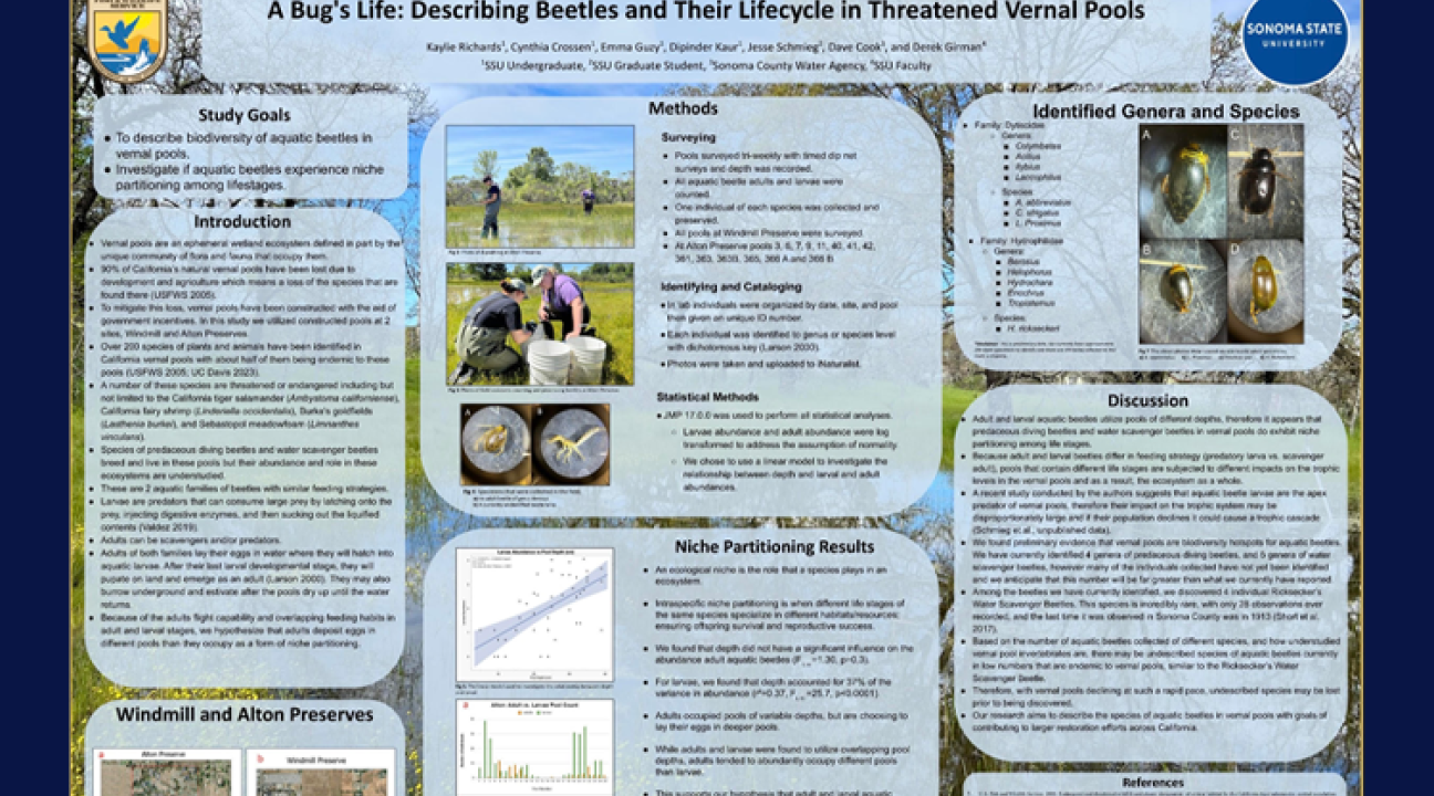 A Bug's Life: Describing Beetles