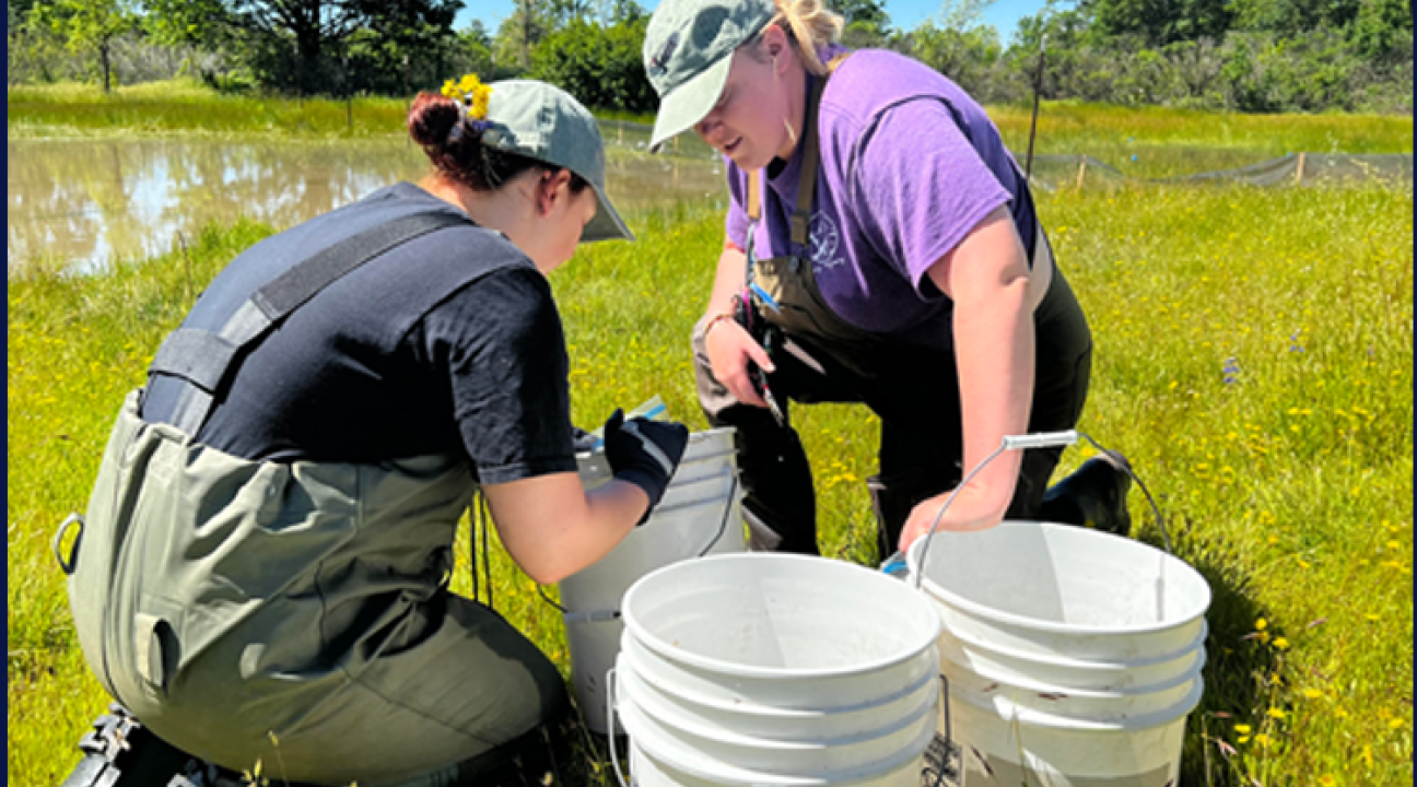 Two students in the field examing data
