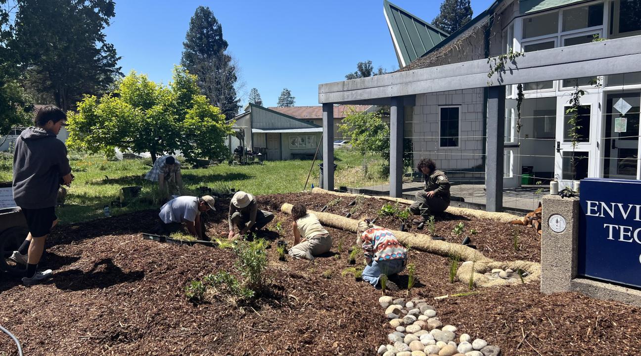 Students installing Bioswale