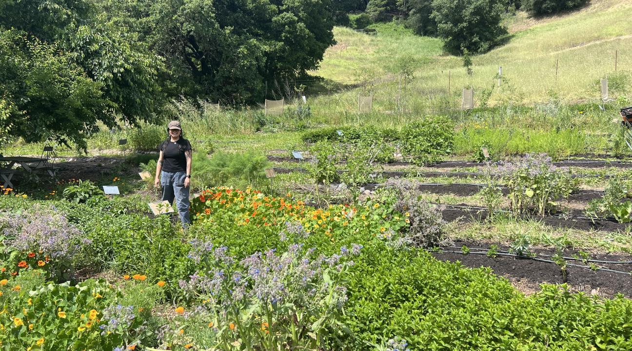 Students at Green Valley Farm
