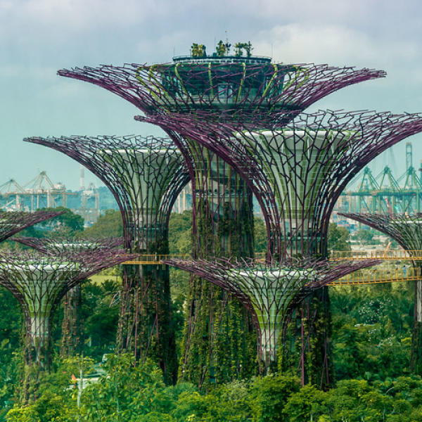 Landscape shot of Singapore Gardens