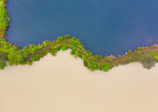 Shoreline