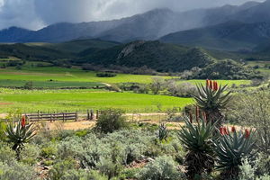Valley Floor and Mountains Landscape in South Africa