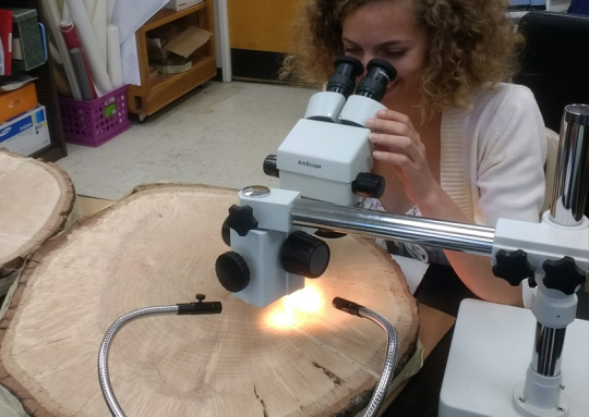 Student counting tree rings