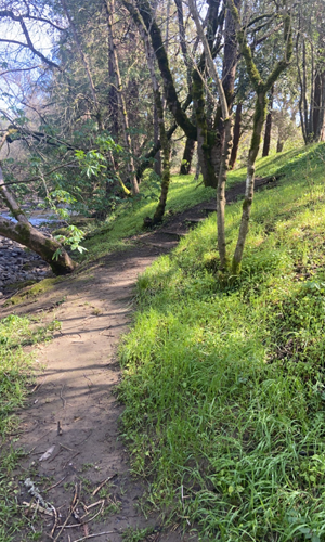 Crane creek at edge of garden