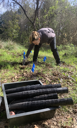 Student planting natives in garden