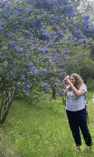 Student taking picture of buttterfly bush