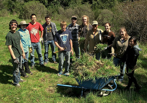 Group of students working in a grassland