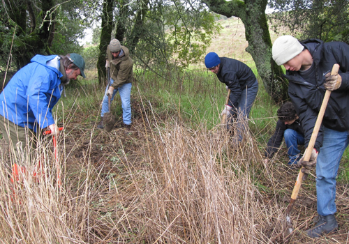 Group of students weeding