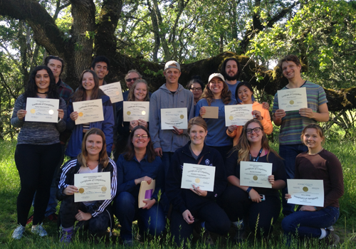 Group of students holding their training certificates