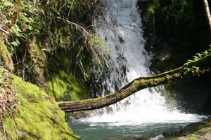 Waterfall in Galbreath Preserve
