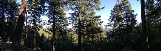 Wide panoramic shot of forest landscape in Galbreath Preserve