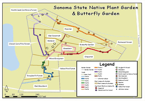 Map of the butterfly garden