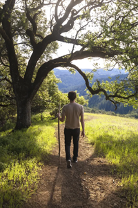 Person walking on trail near oak tree