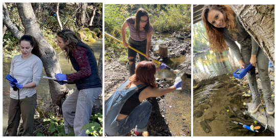 students collecting water samples