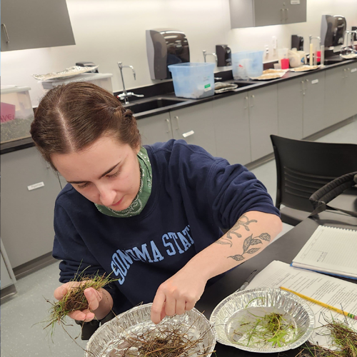 Student working in a lab