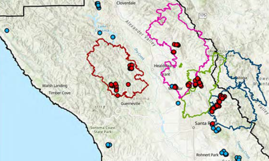 Map of studied burn areas