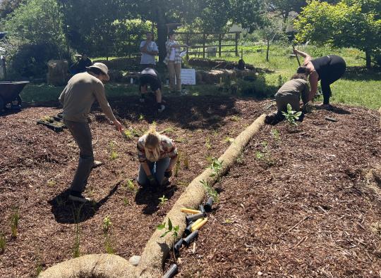 Students installing bioswale