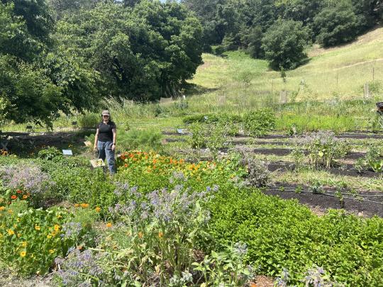 Students at Green Valley Farm